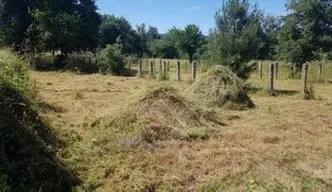Desbroce y limpieza fincas Ávila Limpieza y desbroce fincas parcelas Ávila