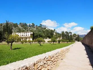 Limpiezas de terrenos y forestales Barcelona