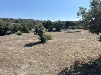 Desbroce de parcelas y fincas Girona Desbrozamos terrenos y zona forestales Gerona