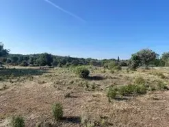 Desbroce fincas y parcelas Girona Desbrozamos fincas Gerona limpiamos parcelas
