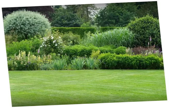Servicio de Jardinería Mantenimiento de jardines