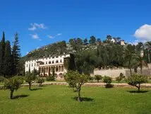 Desbrozamos fincas y parcelas