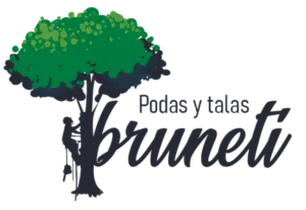 Tala y poda en altura Desbroce fincas  parcelas