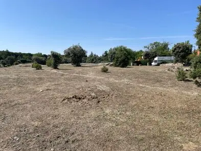 Limpiezas de terrenos y parcelas desbroces parcelas en Madrid