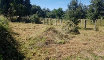 Limpieza y desbroce fincas parcelas Segovia