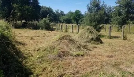 Desbroce y limpieza fincas Limpieza y desbroce fincas parcelas