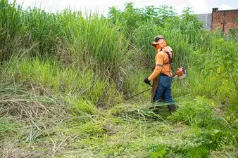 Desbrocesde fincas y parcelas en Toledo