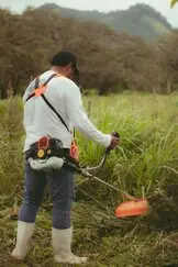 Limpiezas de terrenos, desbroces de fincas y terrenos
