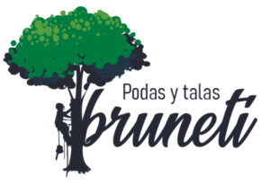 EMPRESA DE TALA Y PODA ÁRBOLES EN GUADALAJARA