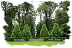 Podas de altura Lérida