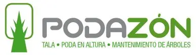Tala y podas de arboles en altura Limpieza de ramas y mantenimiento
