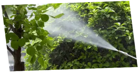 Mantenimiento de jardines fumigación