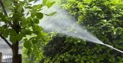 Mantenimiento de jardines fumigación