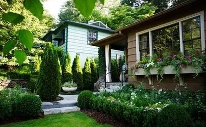 TALA Y PODA EN ALTURA DE ÁRBOLES ALICANTE