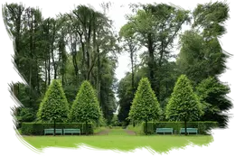 TALA Y PODA EN ALTURA DE ÁRBOLES, ALMERÍA TALA Y PODA EN ALTURA DE ÁRBOLES, ALMERÍA