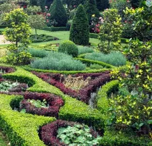 TALA Y PODA EN ALTURA DE ÁRBOLES, ALMERÍA TALA Y PODA EN ALTURA DE ÁRBOLES, ALMERÍA
