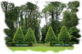 Podas de altura AVILA