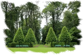Desbroces y jardinería