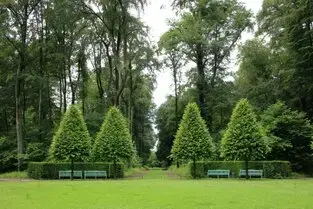 Tala y poda de árboles en altura, Cáceres y provincia