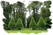 Empresa de tala y podas en altura Cáceres Desbroces y LIMPIEZAS DE FINCAS Y TERRENOS FORESTALES Cáceres