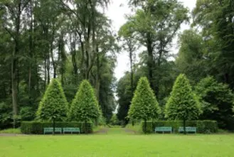 Tala y poda en altura Cantabria Arboricultura Talamos y podamos en altura Cantabria Arboricultura