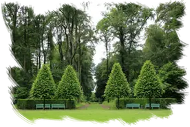 Desbroces y jardinería
