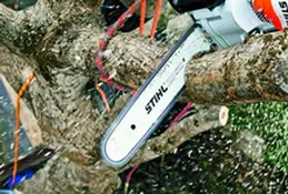 Podas de altura Guadalajara Tala de árboles