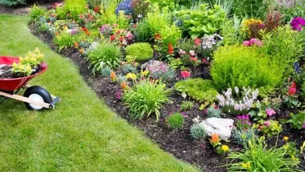 Tala y poda en Altura de árboles en Sevilla y municipios