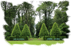 Podas de altura Lérida