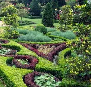 Arboricultura a tu Alcance para un Jardín Impresionante