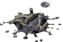 Tala y poda en Altura de árboles en Sevilla y municipios