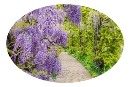 Mantenimiento de jardines