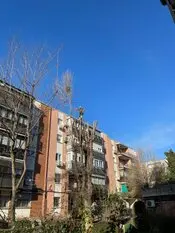 TALA Y PODA ÁRBOLES EN ALTURA Palencia 