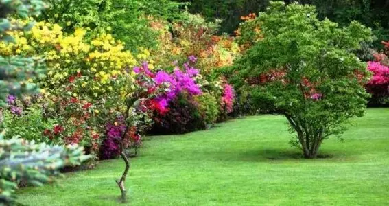 Nuestros expertos transforman tu jardín en un oasis