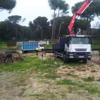 Podadores y taladores de árboles en Orusco de Tajuña Madrid