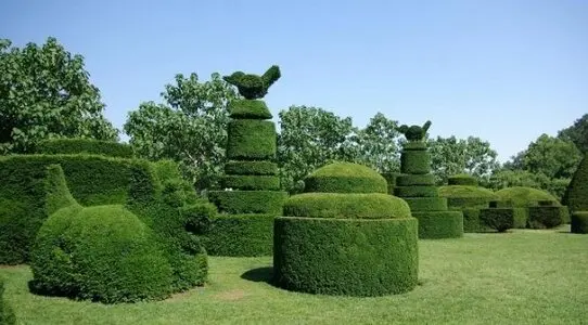 Despídete de las Hierbas: Jardín Perfecto