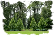 Desbroces y jardinería