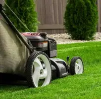 servicio de corte de césped, jardinería Corte de césped en jardín