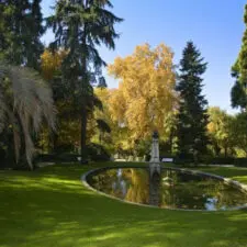 Tala y poda en altura Toledo
