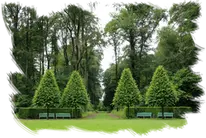 Podas de altura Provincia de Toledo