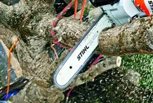 Empresa tala y poda árboles en altura Valencia y provincia