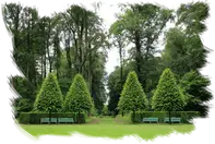 Podas de altura Zaragoza 