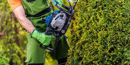 Tala y poda en altura Zaragoza