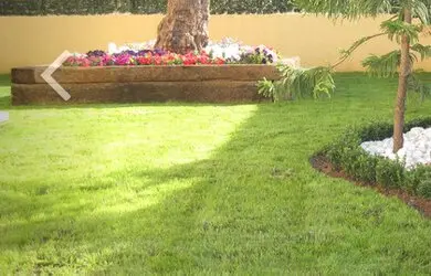 Tala y poda en altura Zaragoza