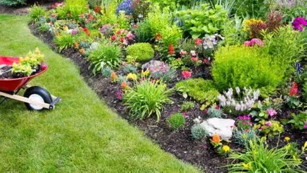 Tala y poda en altura Zaragoza