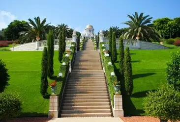 Tala y poda en altura Zaragoza